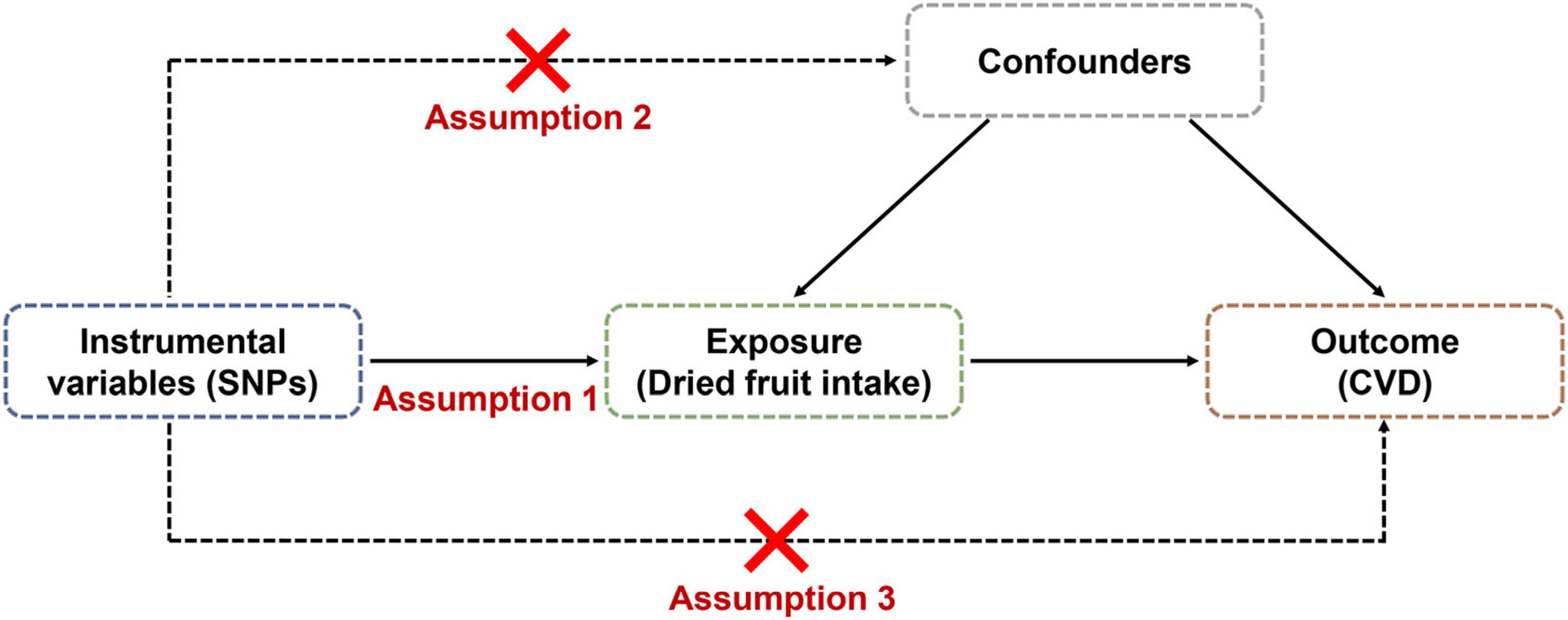 Causal associations between dried fruit intake and cardiovascular disease: A Mendelian randomization study